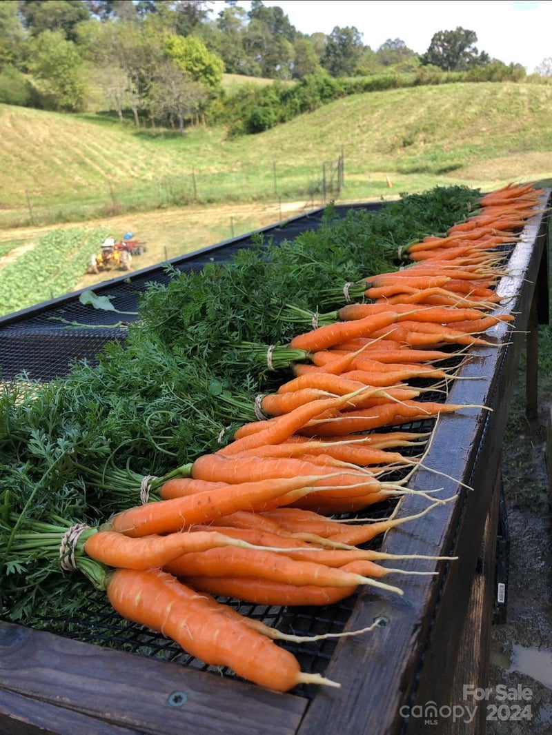 240 Westridge Farm Rd #19, Asheville, NC 28804