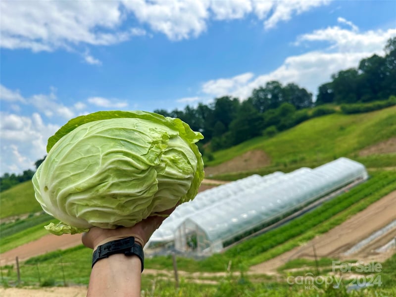 240 Westridge Farm Rd #19, Asheville, NC 28804