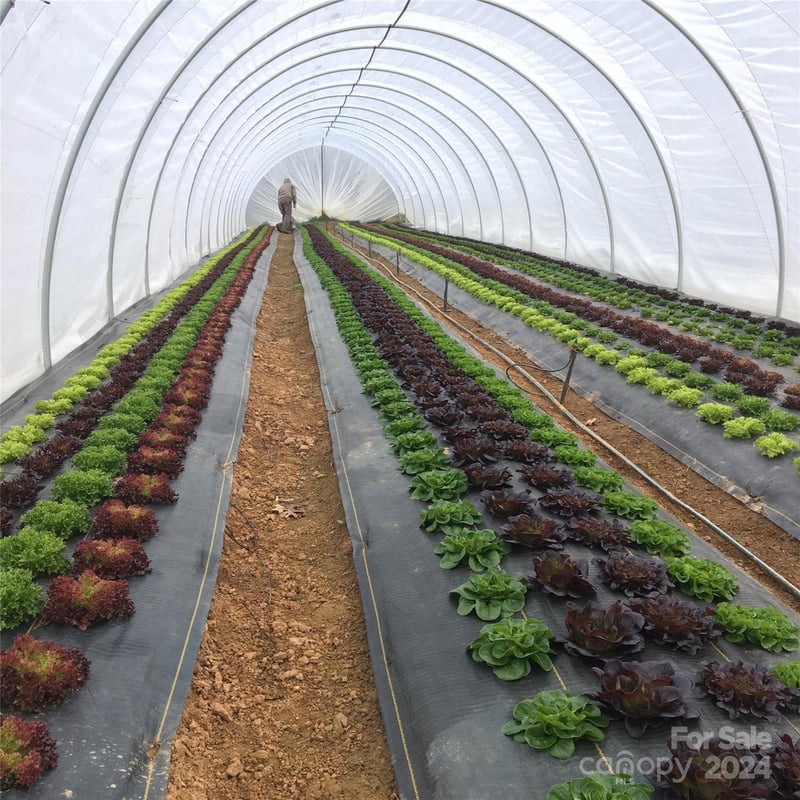 240 Westridge Farm Rd #19, Asheville, NC 28804