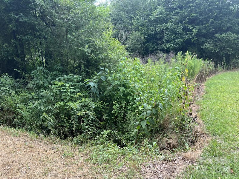 00 Cottonville Rd, Norwood, NC 28128