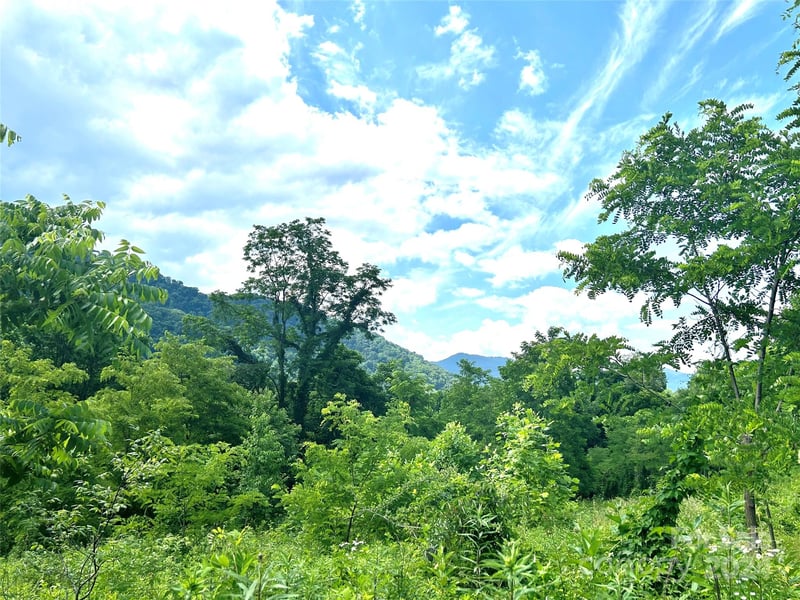 00 Split Pine Cv, Clyde, NC 28721