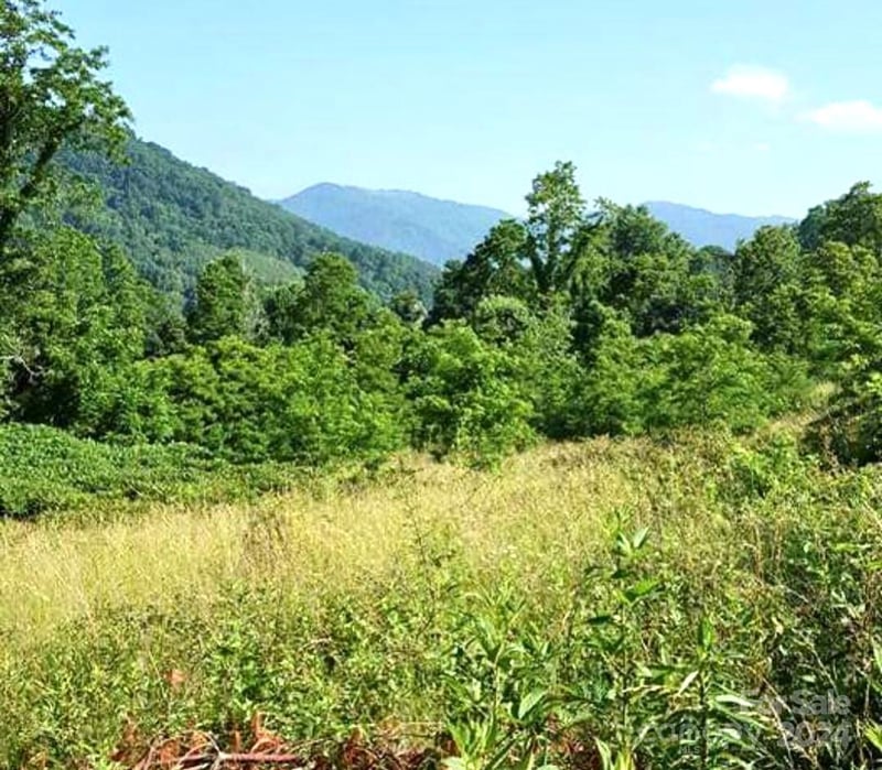 00 Split Pine Cv, Clyde, NC 28721