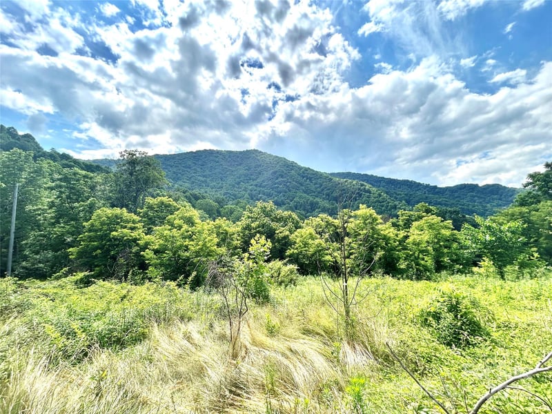00 Split Pine Cv, Clyde, NC 28721