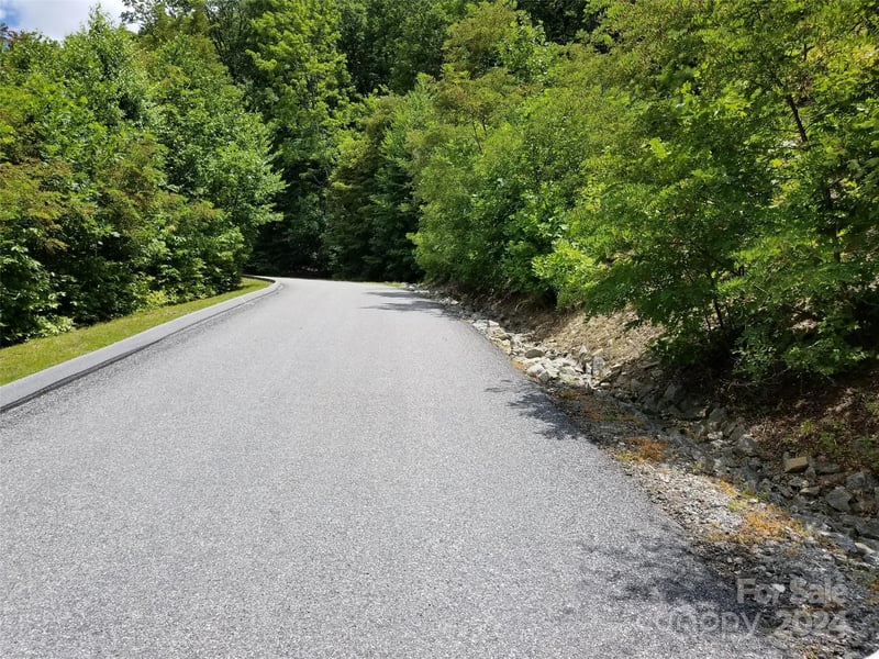 567 Blue Mist Way, Arden, NC 28704