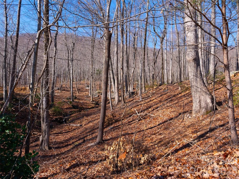 220 Chesterfield Dr, Mill Spring, NC 28756