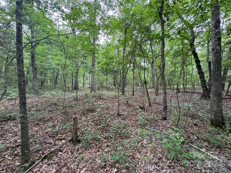 Reeves Island Rd, Gold Hill, NC 28071