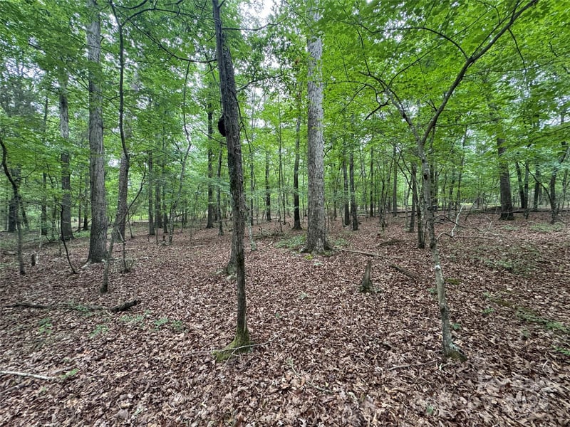 Reeves Island Rd, Gold Hill, NC 28071