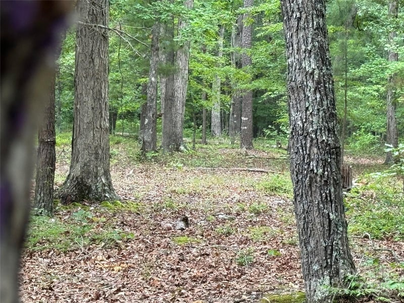 Reeves Island Rd, Gold Hill, NC 28071