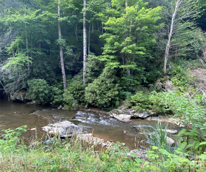 0000 Big Laurel Rd, Marshall, NC 28753