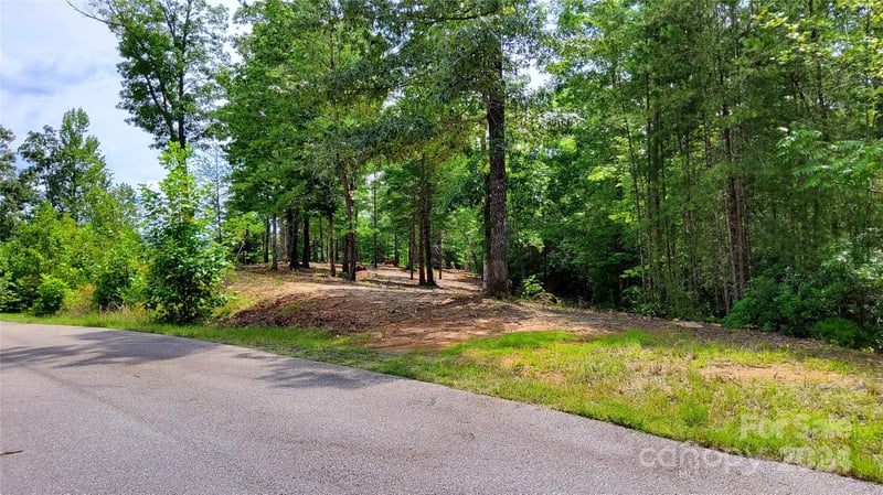 00 Wambli Ps #20 & 21, Lake Lure, NC 28746