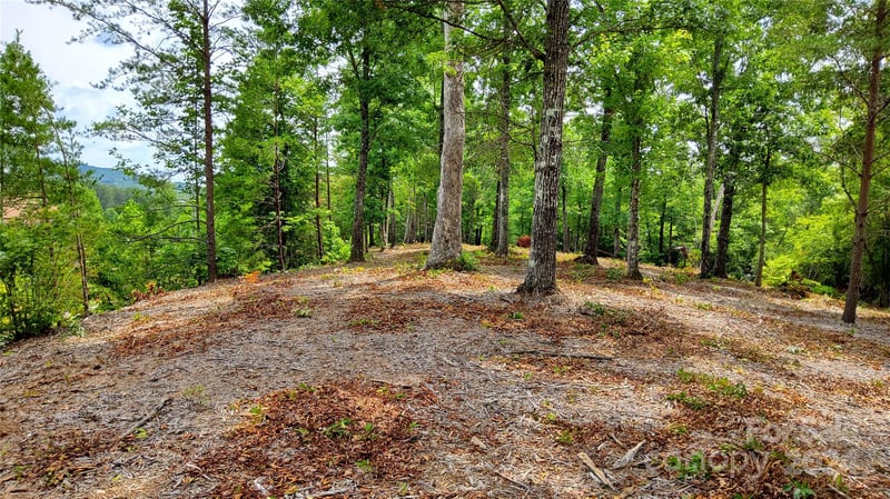 00 Wambli Ps #20 & 21, Lake Lure, NC 28746