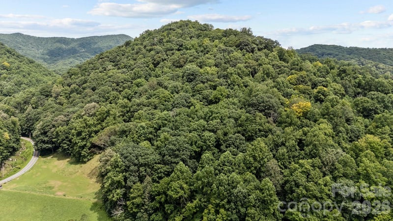 99999 Windswept Dr, Burnsville, NC 28714