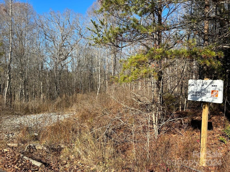 Great Dane Ave, Iron Station, NC 28080