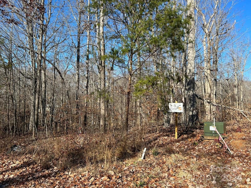 Lhasa Apso Ln, Iron Station, NC 28080
