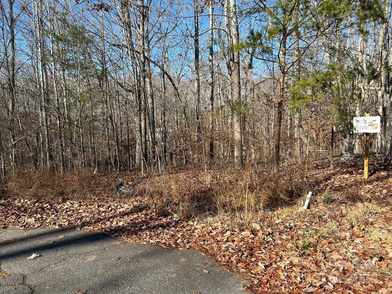 Lhasa Apso Ln, Iron Station, NC 28080