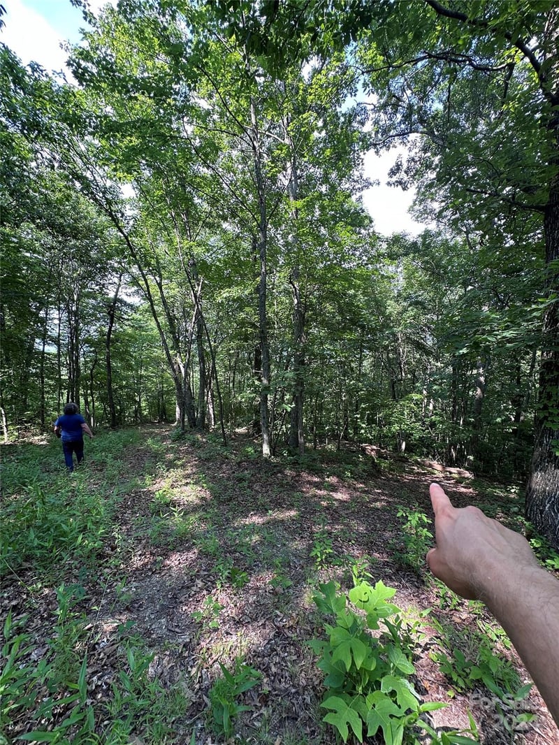 000 Destiny Farms Rd, Leicester, NC 28748