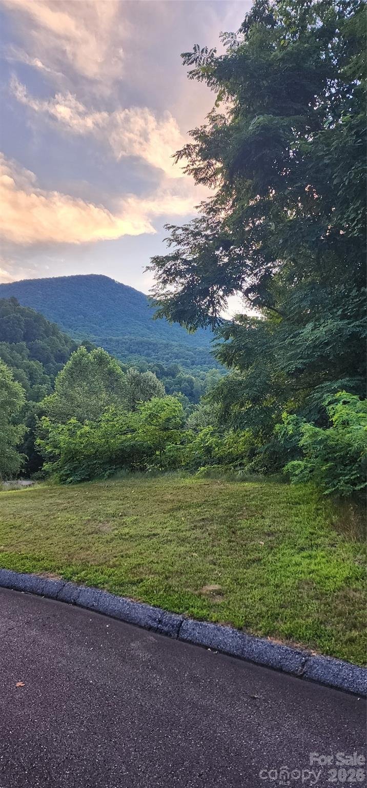1-3 King Horn Rg, Waynesville, NC 28785