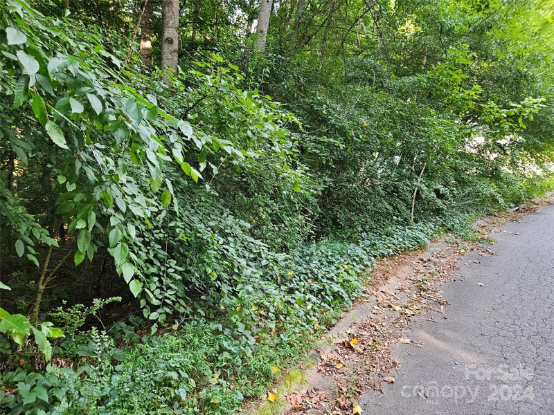 00 General Griffith Cir #31, Rutherfordton, NC 28139