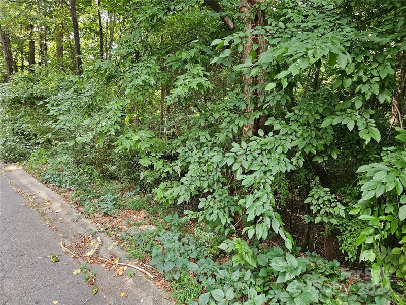 00 General Griffith Cir #31, Rutherfordton, NC 28139