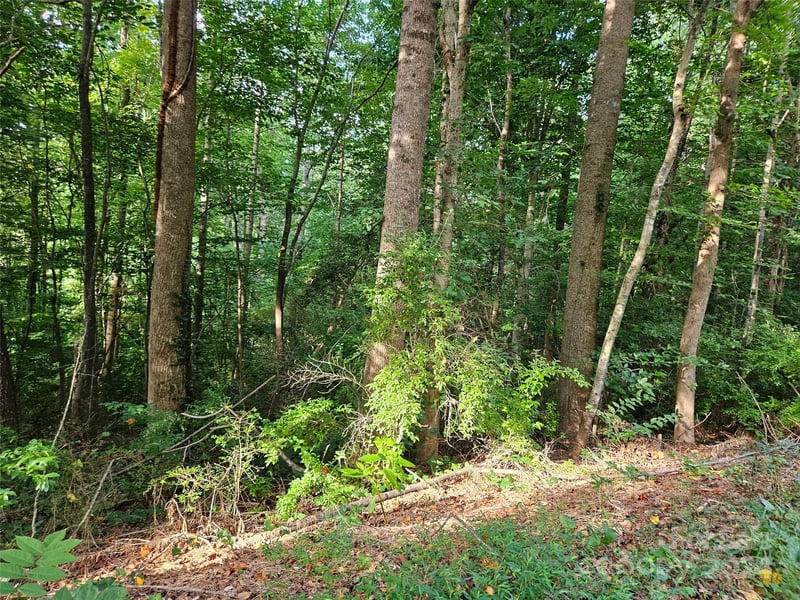 00 General Griffith Cir #31, Rutherfordton, NC 28139