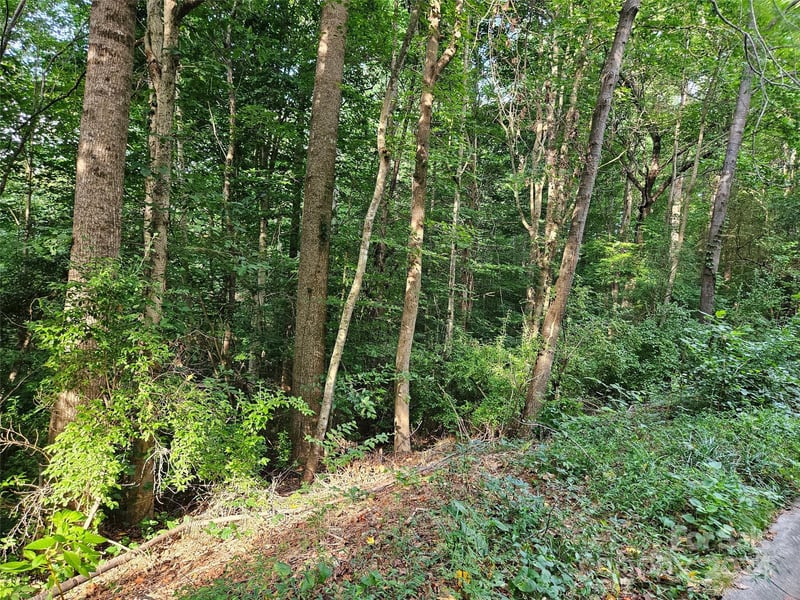 00 General Griffith Cir #31, Rutherfordton, NC 28139