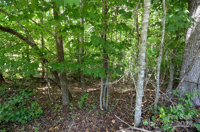 00 Victoria Dr, Marion, NC 28752