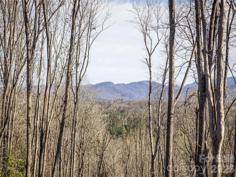 676 Tea House Dr #902, Asheville, NC 28803