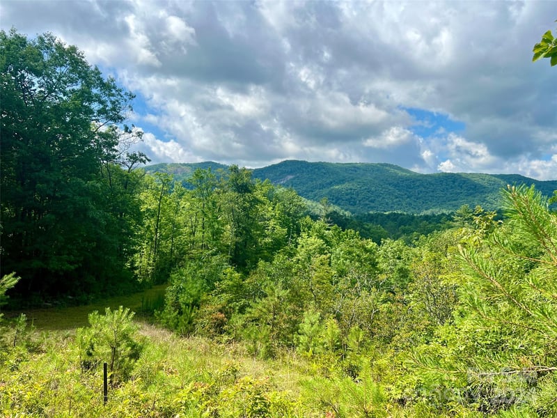 667 Laurel Thicket Ln, Brevard, NC 28712