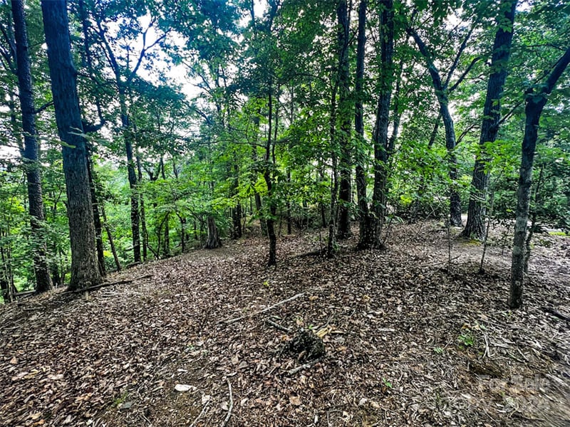 00 Whitney Blvd Lot 124, Lake Lure, NC 28746