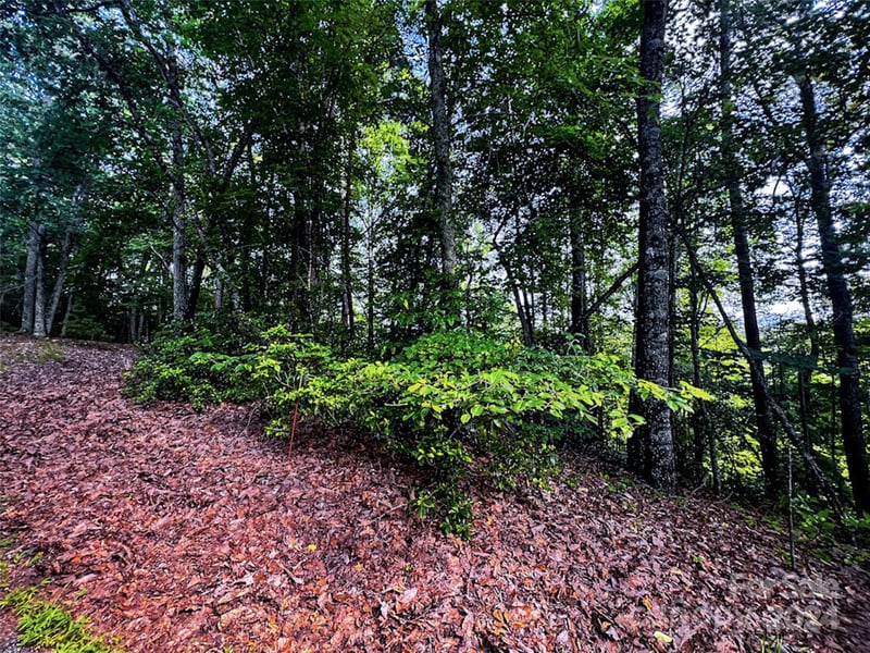 00 Whitney Blvd Lot 124, Lake Lure, NC 28746