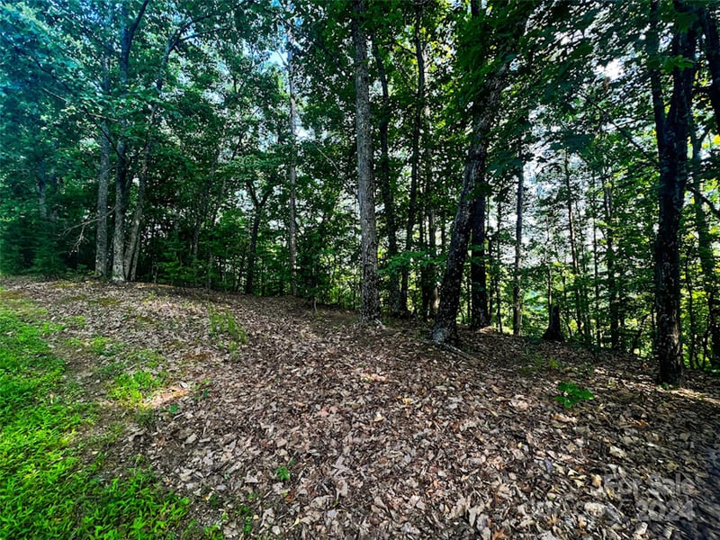 00 Whitney Blvd Lot 124, Lake Lure, NC 28746