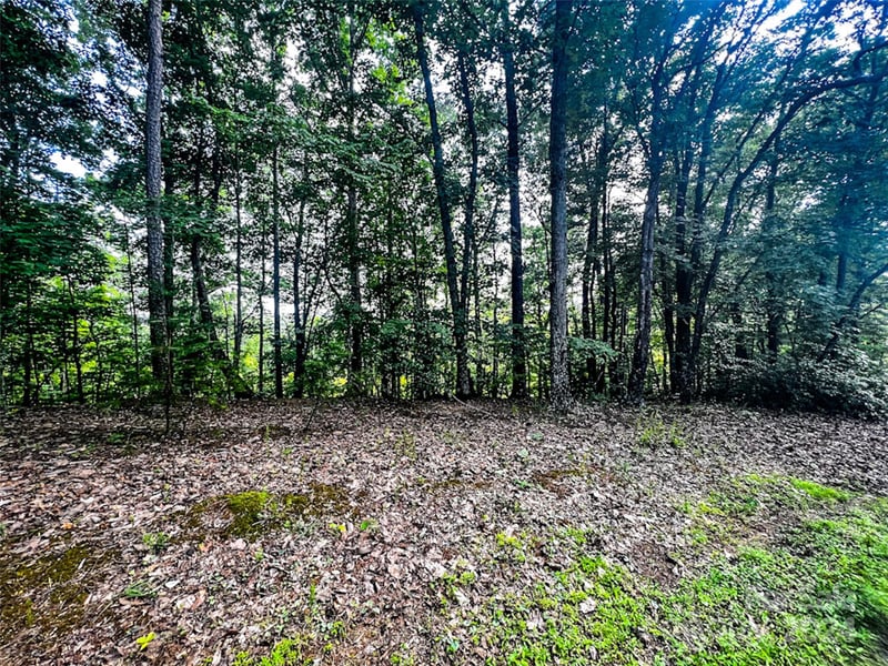 00 Whitney Blvd Lot 124, Lake Lure, NC 28746