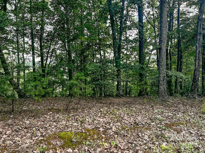 00 Whitney Blvd Lot 124, Lake Lure, NC 28746
