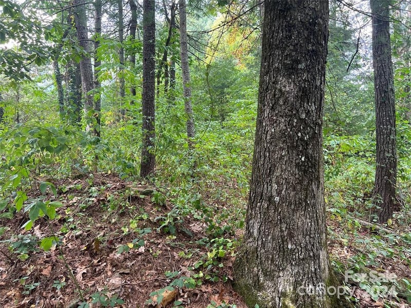 3967 Howard Gap Rd, Hendersonville, NC 28792