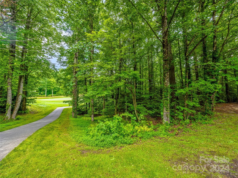 N 17 Mills Creek Tc, Lake Toxaway, NC 28747