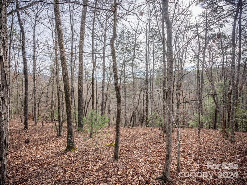 163 Pheasant St #163, Lake Lure, NC 28746
