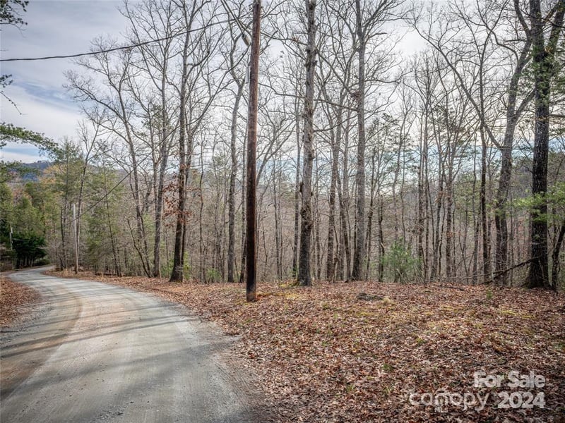 163 Pheasant St #163, Lake Lure, NC 28746
