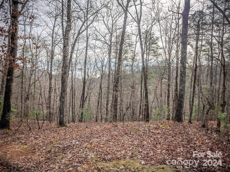 163 Pheasant St #163, Lake Lure, NC 28746