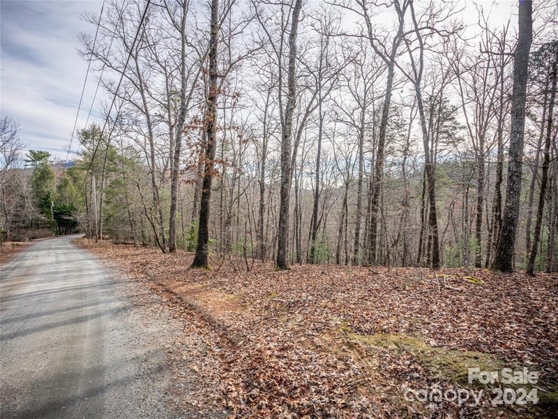 163 Pheasant St #163, Lake Lure, NC 28746
