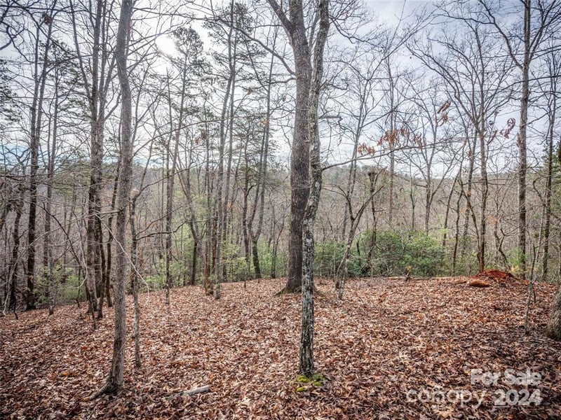 163 Pheasant St #163, Lake Lure, NC 28746