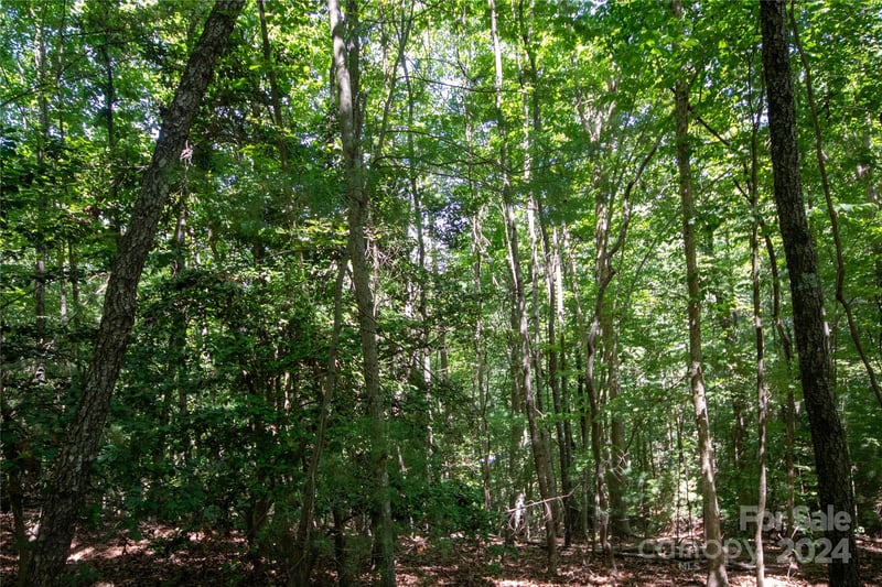 Brittany Dr, Lenoir, NC 28645