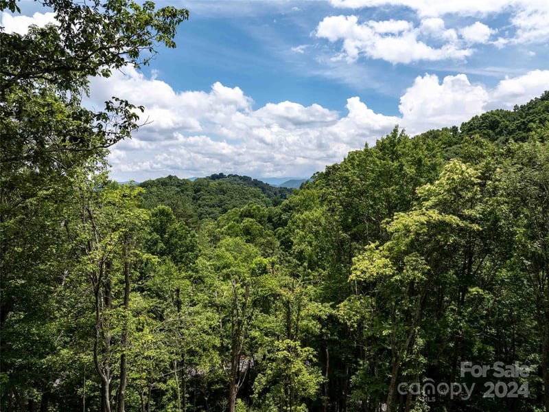 Tapestry Trl, Waynesville, NC 28785