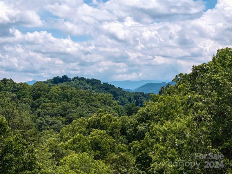 Tapestry Trl, Waynesville, NC 28785