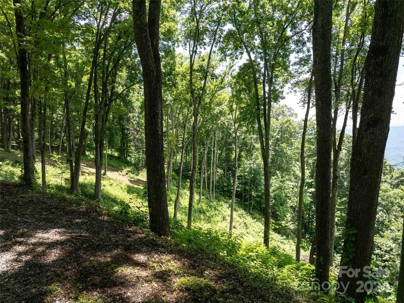 0 Sleepy Hollow Dr, Waynesville, NC 28785