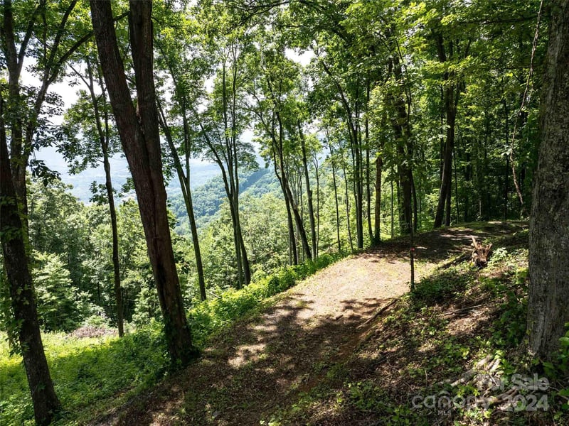 0 Sleepy Hollow Dr, Waynesville, NC 28785