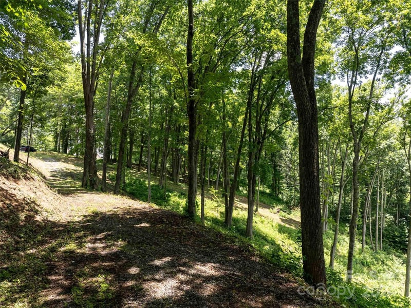 Sleepy Hollow Dr, Waynesville, NC 28785