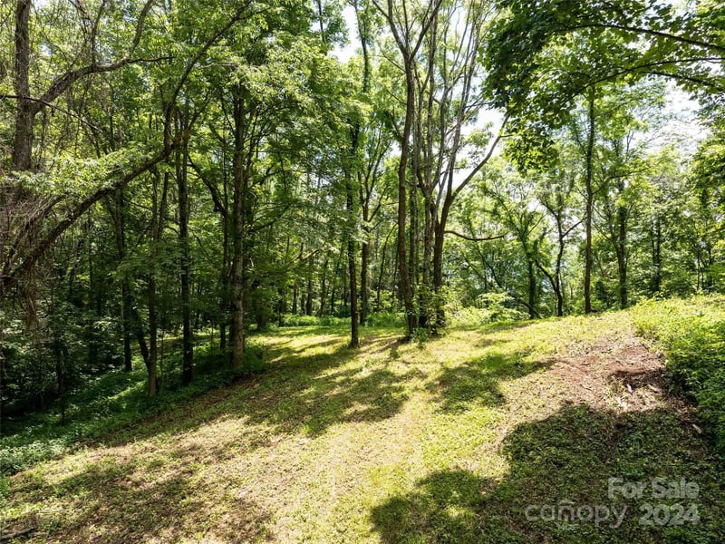 00 Hardy Branch Trl, Waynesville, NC 28785