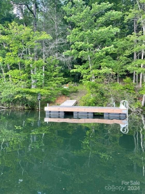 1733 Buffalo Creek Rd, Lake Lure, NC 28746