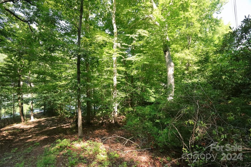 1733 Buffalo Creek Rd, Lake Lure, NC 28746