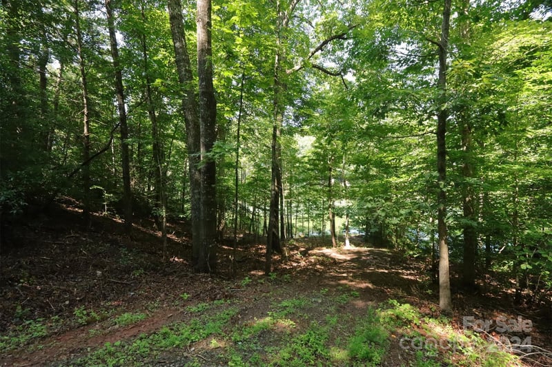 1733 Buffalo Creek Rd, Lake Lure, NC 28746